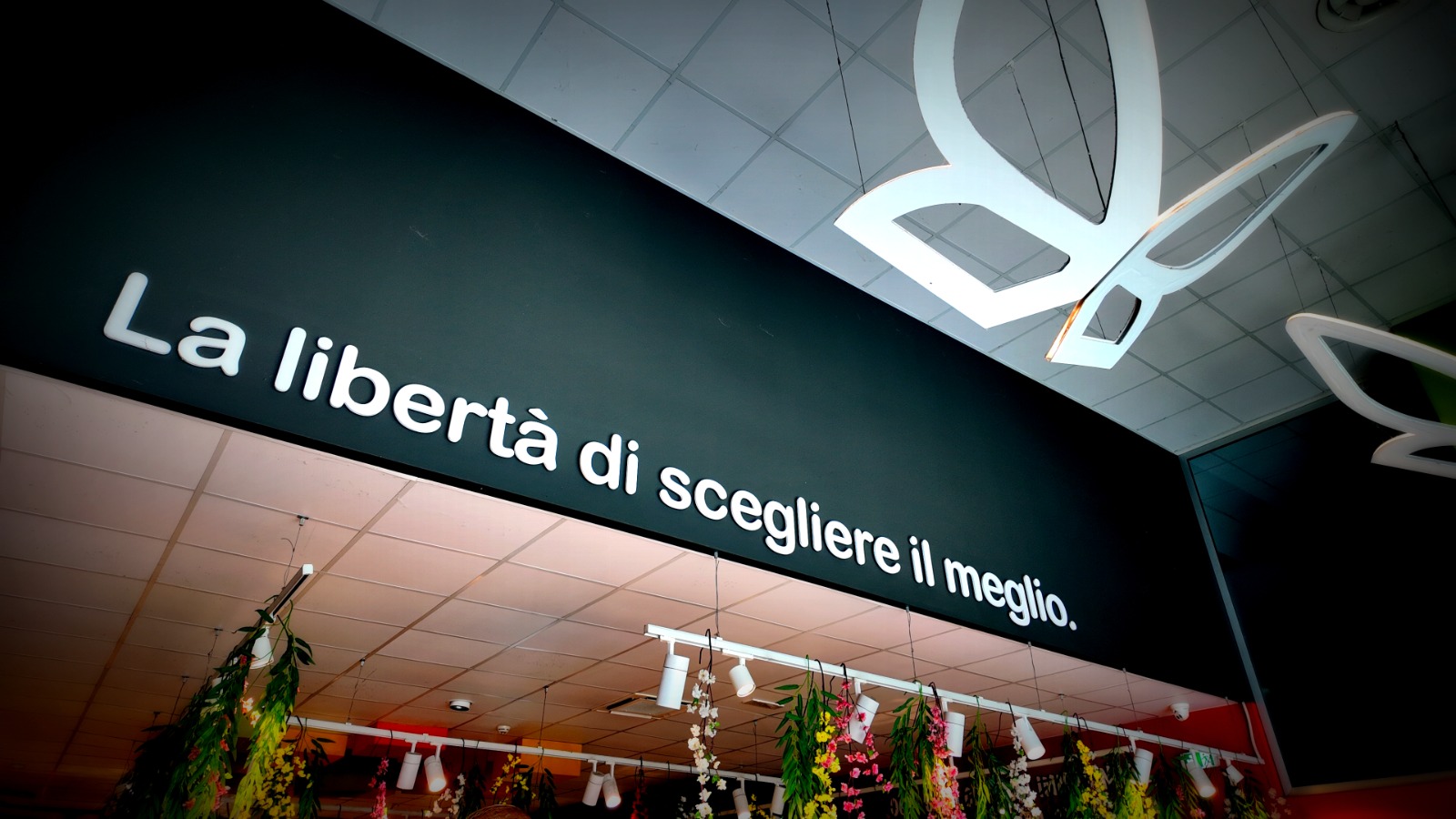 Extra Supermercati sostiene la ricerca di Paolo Ascierto contro il melanoma con l’evento al Nabilah di Bacoli